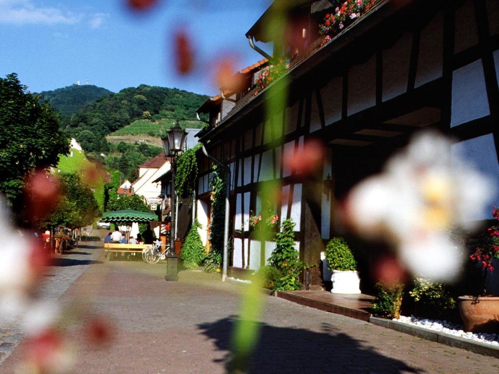 Hotel Garni Zur Bergstrasse Zwingenberg  Экстерьер фото